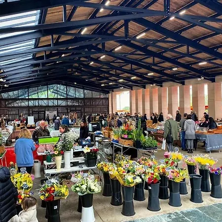 Le Du Cardinal Central/ Wifi/ à Pieds! Appartamento Ajaccio (Corsica)