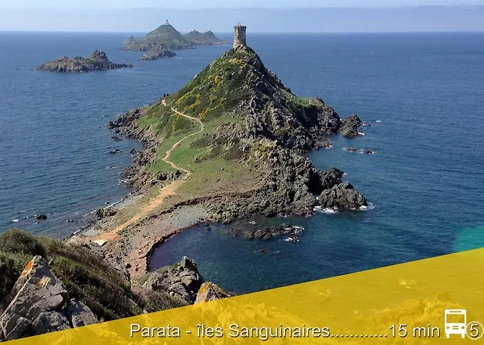 Le Du Cardinal Central/ Wifi/ à Pieds! Appartamento Ajaccio (Corsica)