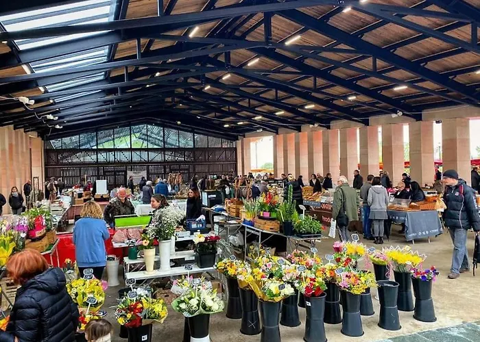 Le Du Cardinal Central/ Wifi/ à Pieds! Appartamento Ajaccio (Corsica)