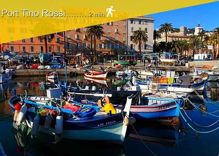 Le Du Cardinal Central/ Wifi/ à Pieds! Appartamento Ajaccio (Corsica)