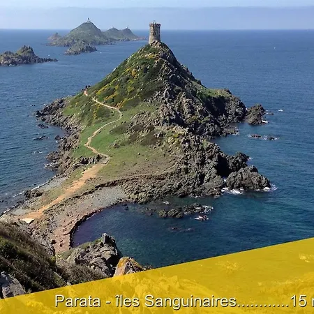 Le Du Cardinal Central/ Wifi/ A Pieds! شقة أجاكسيو