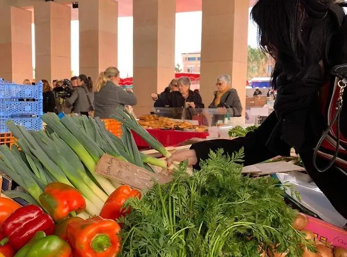 Le Du Cardinal Central/ Wifi/ A Pieds! Apartmán Ajaccio (Corsica)